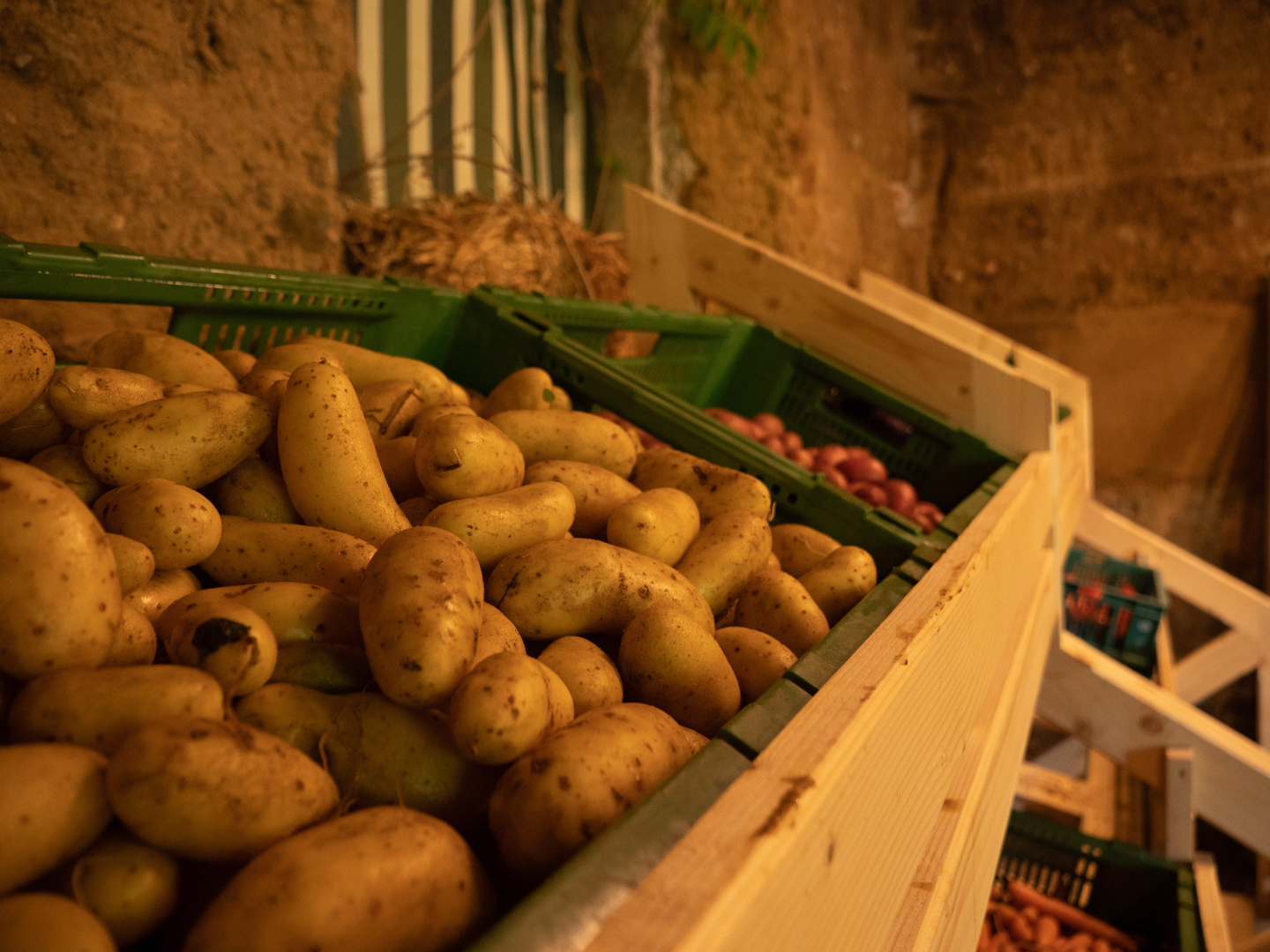 Marche A Travers champs Legumes 